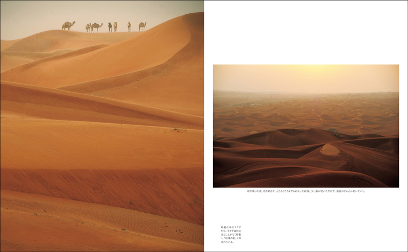 「Life in the Desert 砂漠に棲む」(玄光社)より
