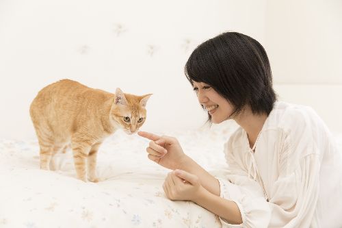 五十嵐健太撮影