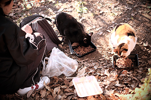 残った餌は回収し、周辺環境を汚さないようにするのが基本=坪井大地さん提供