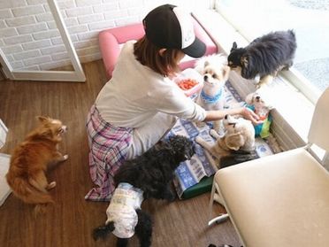 休日にマリン、レオを伴い老犬ホームを訪れ、おやつをおすそ分け