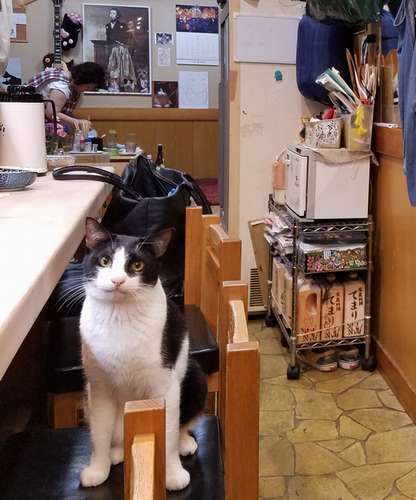 奥の小上がりでは女将さんが働いている