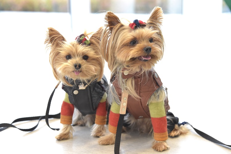 さりげなくおそろいのお洋服がおしゃれ