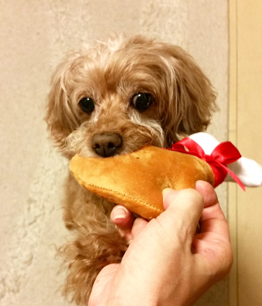 「ヒャッホー♪」。プレゼントの骨つき肉おもちゃに大はしゃぎ。