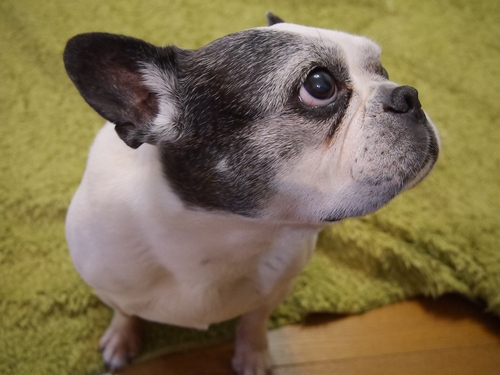 私がいろいろ教えてあげたのよ