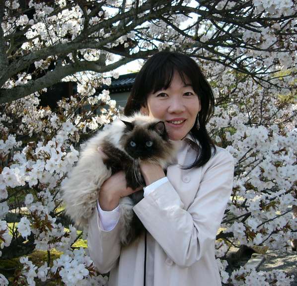 11年前。京都・仁和寺の桜と=京都市