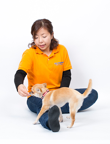 ジャンピング ①ごほうびを使ってジャンプの練習(撮影 布川航太)