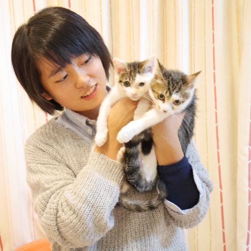 11月の譲渡会に参加予定のすき家と松屋「幸せになろうね」