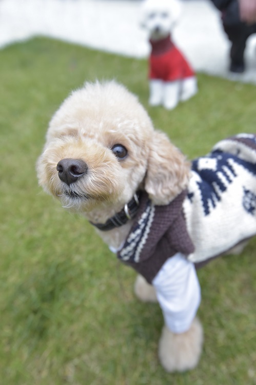 その笑顔にメロメロです