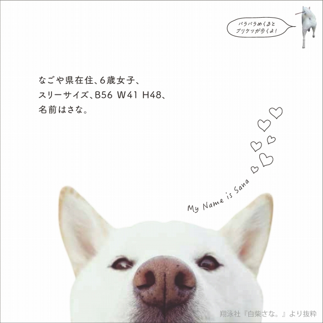 「白柴さな。」(翔泳社)から