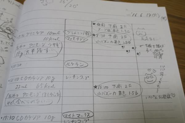 オーチャン闘病記。出張から戻ったパパと昼寝した後、旅立った