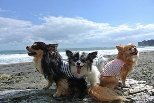 夏、潮風を満喫 気持ちい~