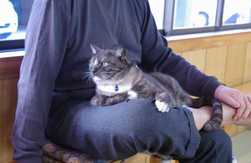 稽古場で、荒汐親方の膝の上で。11年=おかみさん提供