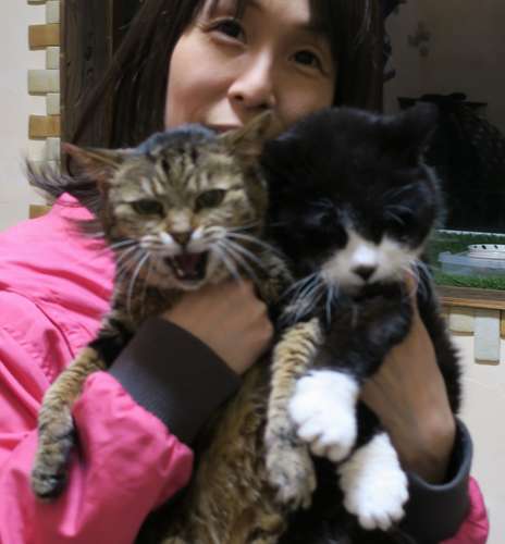 てっちゃん(右)とビーちゃんを抱き上げる渡部まいこさん。動物管理士の資格も持っている=東京ペットホーム