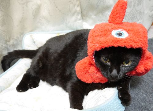 これは一つ目「モンスター」