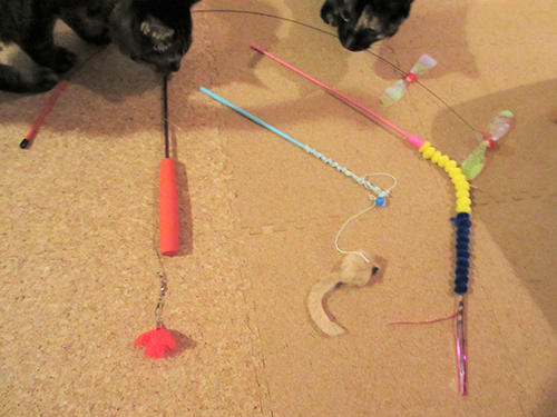 1軍のおもちゃたち