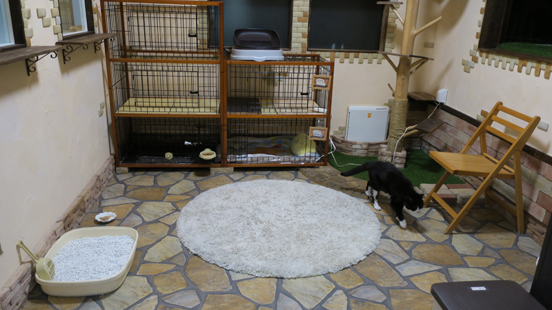 てつが1年9ヶ月を過ごしたホームのプレイルーム