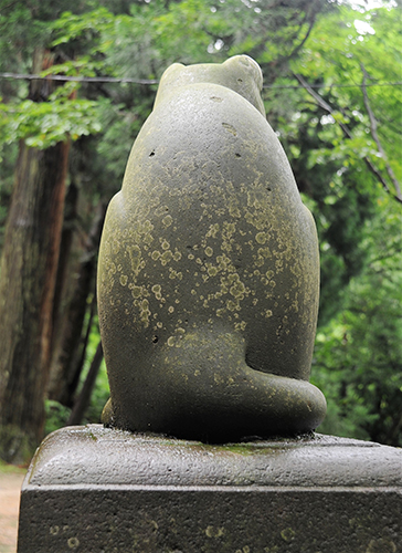 後ろ姿は丸みを帯びている