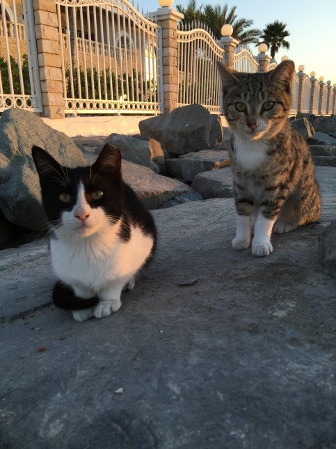 写真慣れしていないので、ちょっと緊張気味