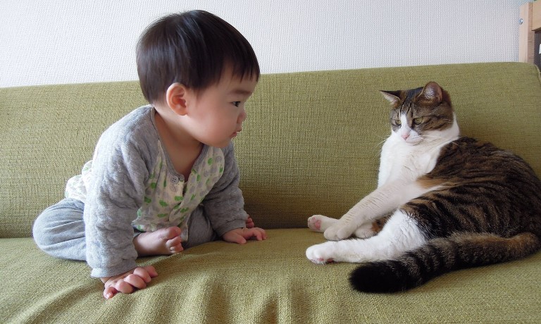 「あっ、シマちゃんに、ヒゲがはえてる」