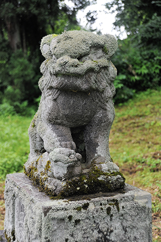 こけむした狛犬が出迎えてくれる