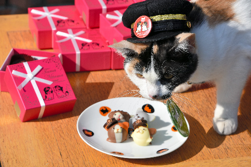 チョコレートをPRする駅長見習いの「よんたま」