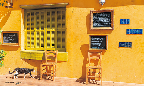 「世界の街猫」から