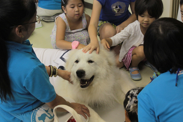 大きなピレネー犬の周りにはたくさんの子どもが集まった(c)大塚敦子