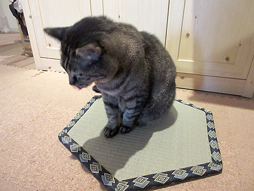 ちょっと落ち着かない?