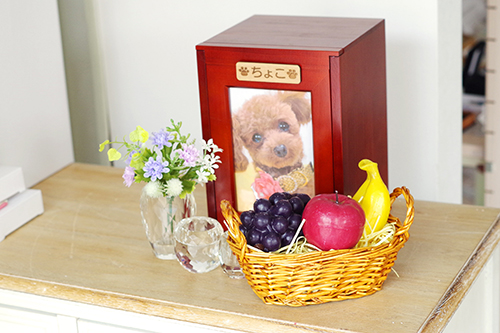 果物のキャンドルも