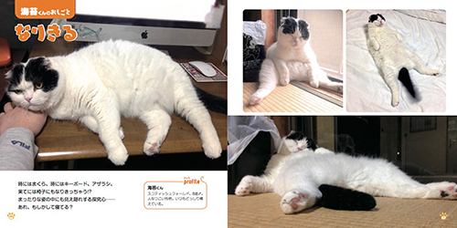 『ねこのおしごと』より