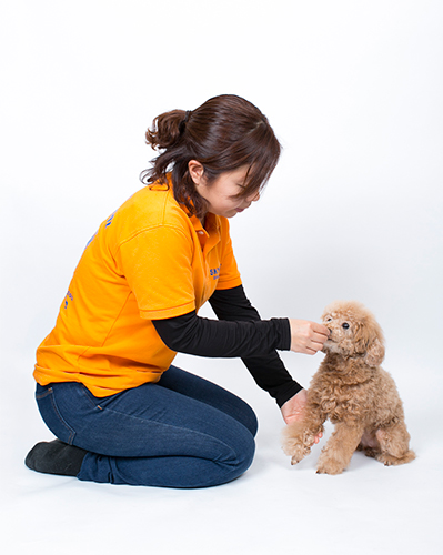 オテ&オカワリ ①オスワリさせて前足の付け根に触れる (撮影 布川航太)