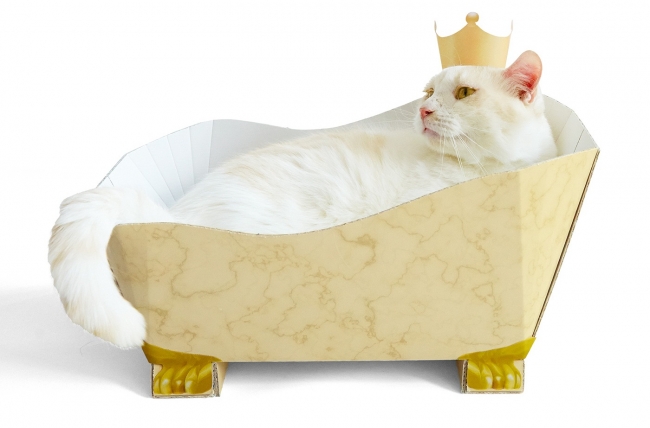 カラーは3色。〈ベージュ〉王冠かぶって王さま気取り。モデル:トム君 約4.5kg=写真はいずれもフェリシモ提供