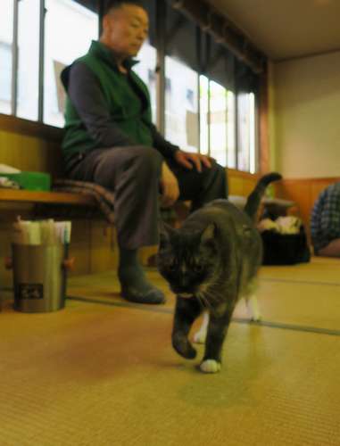 稽古に顔を出したモル=荒汐部屋