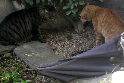 4ちゃんとは力関係が拮抗していた