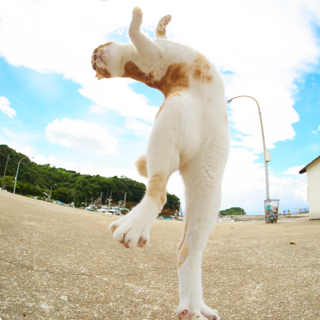 「ギュラララララ〜ン」という効果音とともに! (c) Accent