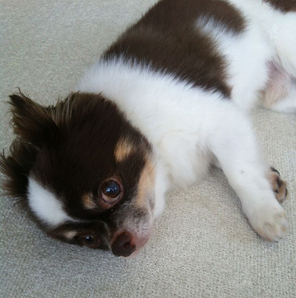 今ではこんなにリラックスした表情も