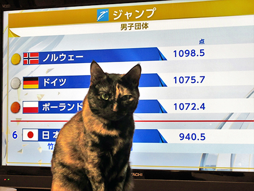 五輪より私を見て!