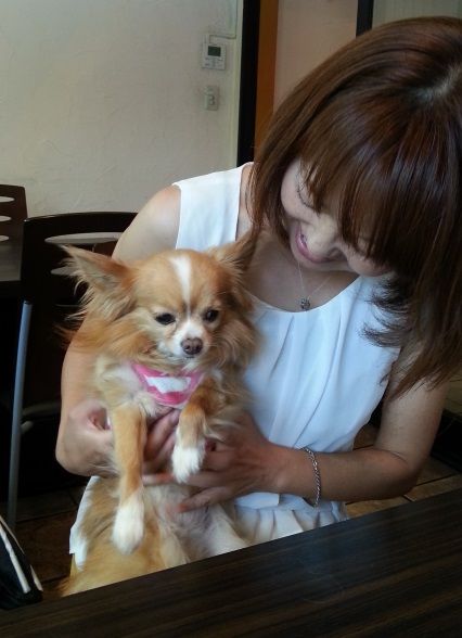 犬同伴可のレストランで