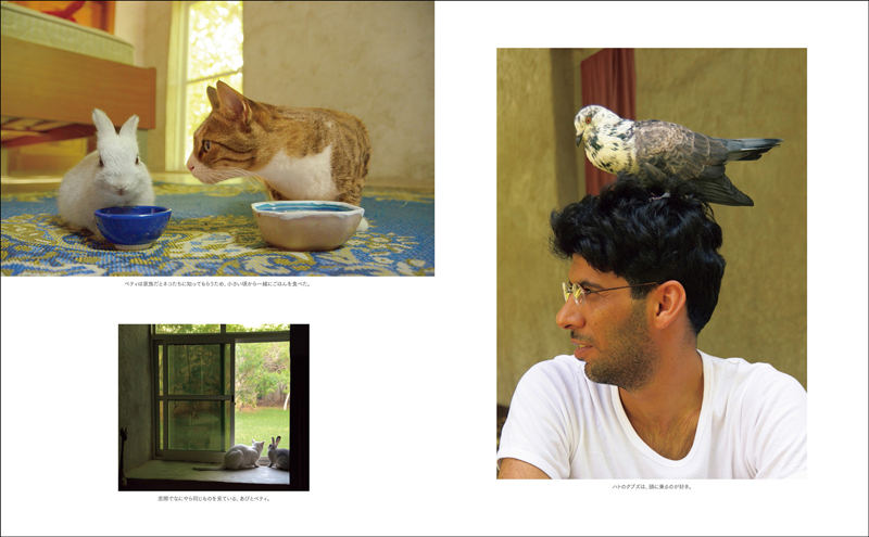 「Life in the Desert 砂漠に棲む」(玄光社)より