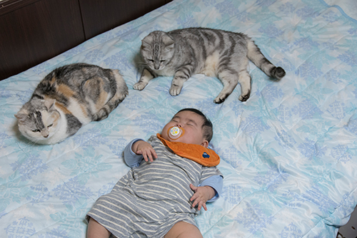 花子、リク、岩田さんの息子さん