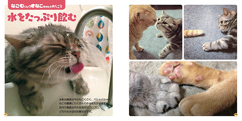 『ねこのおしごと』より