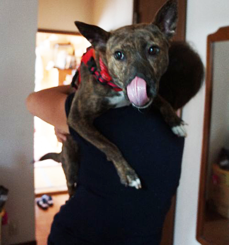 階段が怖いので、2階から降りる時は和子さんに抱かれて