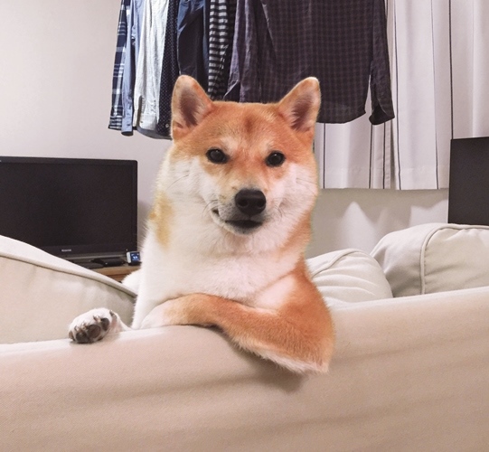 写真=後藤隆之介