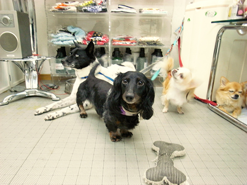 ミグノンでの様子