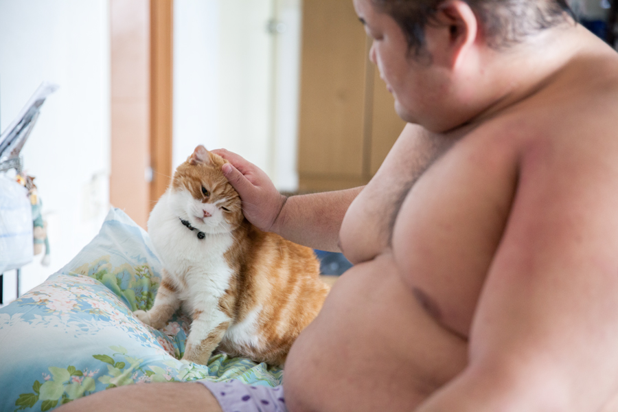 「荒汐部屋のすもうねこ モルとムギと12人の力士たち」(平凡社)より