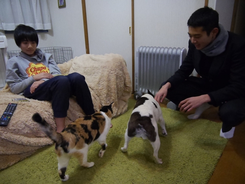 兄弟がくつろいでいる傍に、いつも2匹がいる