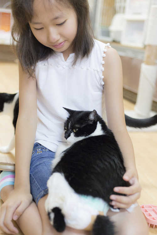 写真/山田裕之、徳永徹