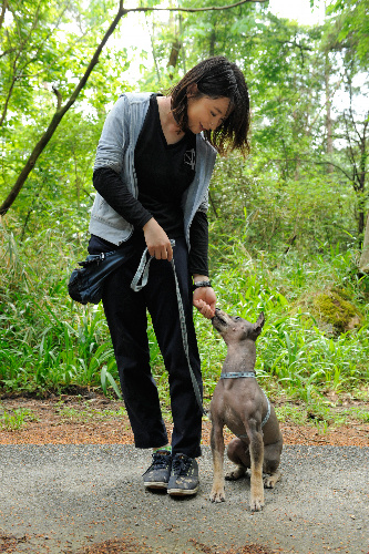 「よくできたね」と目を見てごほうびを与える/実演は日本アニマルトラストの訓練士
