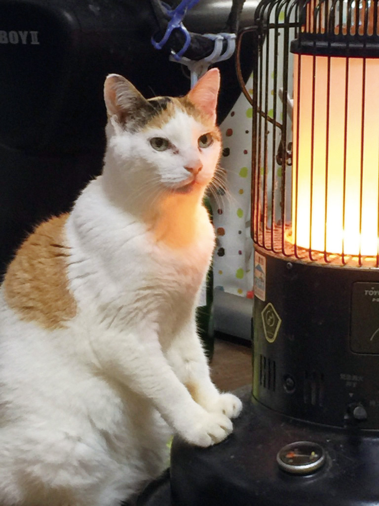 日貿出版社提供