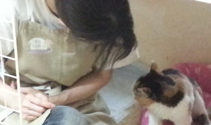 大きなケージの中で、ちょっとおしゃべり「明日は何をする?」